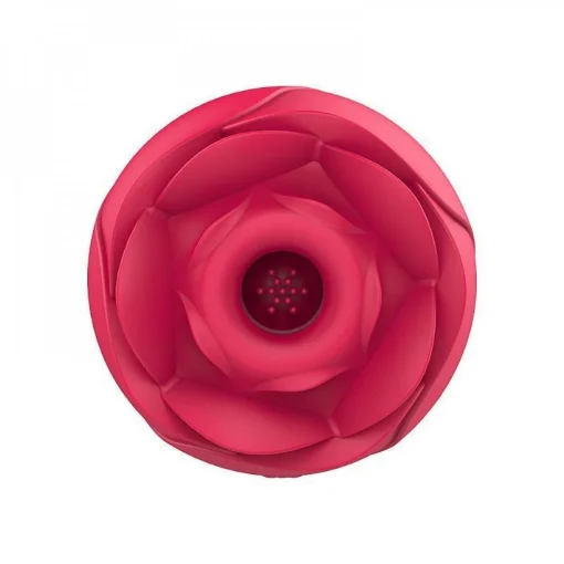 15239307225_vibrador-clitoris-immortal-flower-2-com-9-vibracoes-e-succao-s-hande-general-import-2-510x510