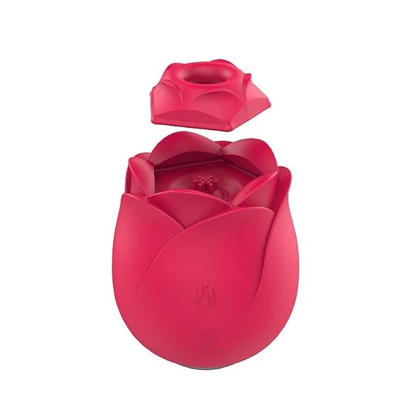 massageador-em-rosa-9-modos-de-vibracoes-shande (1)