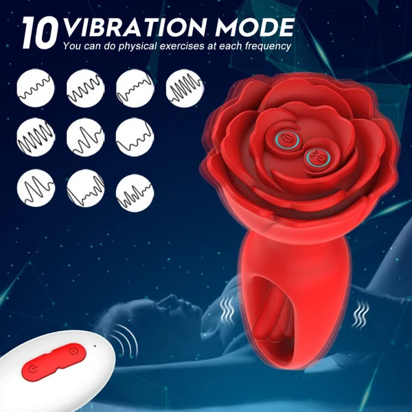 17315909729639