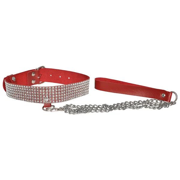 choker-strass-com-guia-dominatrix (2)